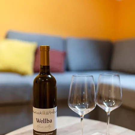 Aparthotel Wellba Homestead Planina *