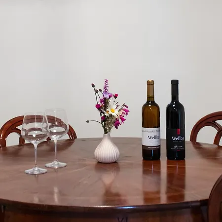 Aparthotel Wellba Homestead Planina *