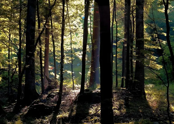 Wellba Homestead Planina شقة فندقية Ajdovščina